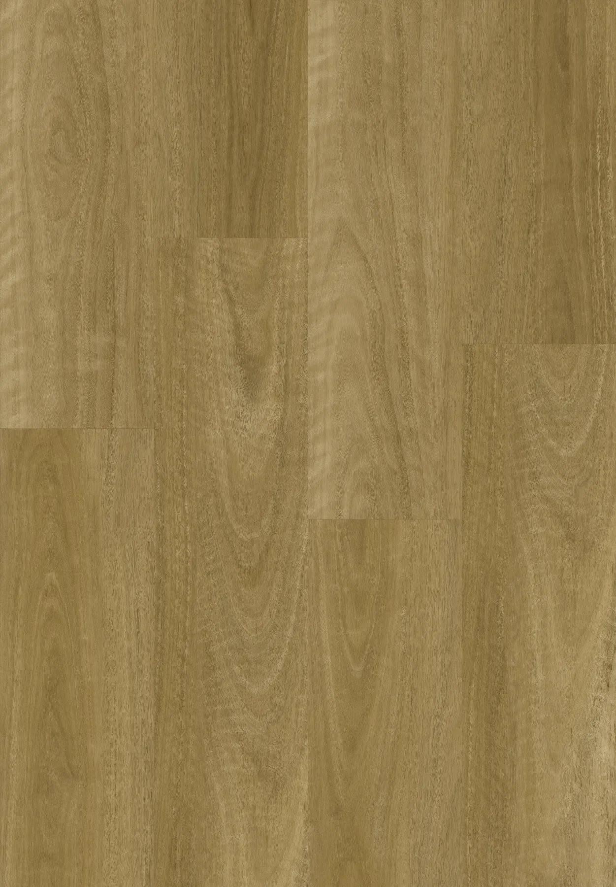Amber Blackbutt planks laid out