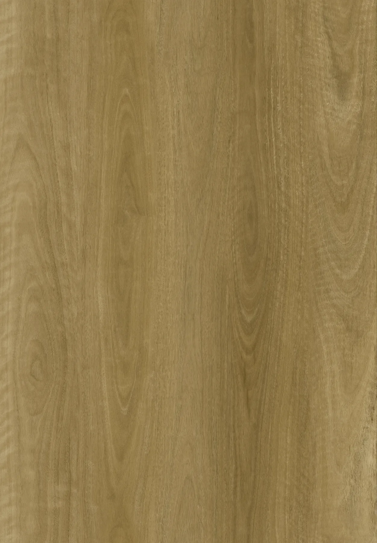 Amber Blackbutt single plank