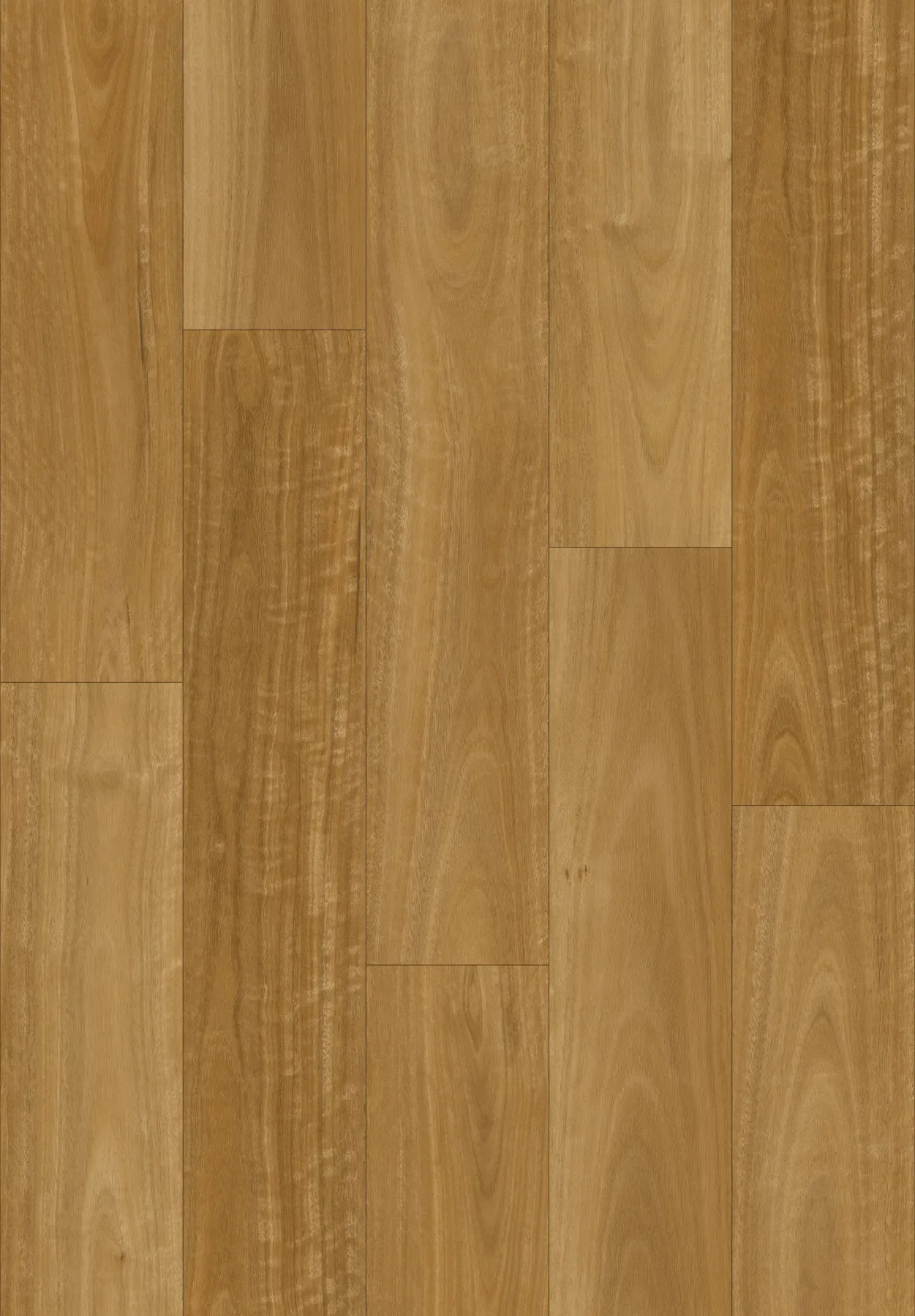Cinnamon Spotted Gum planks laid out