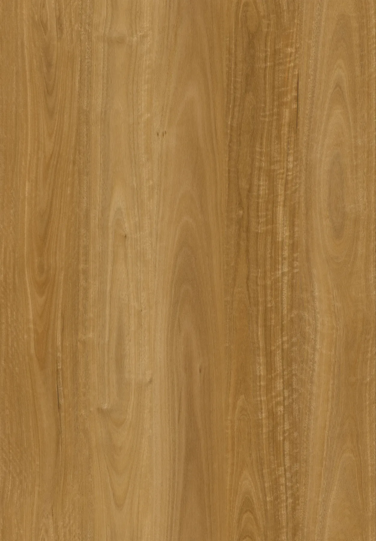 Cinnamon Spotted Gum plank