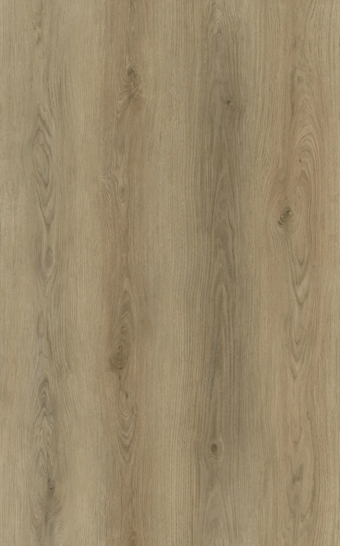 Taupe Drift Oak plank