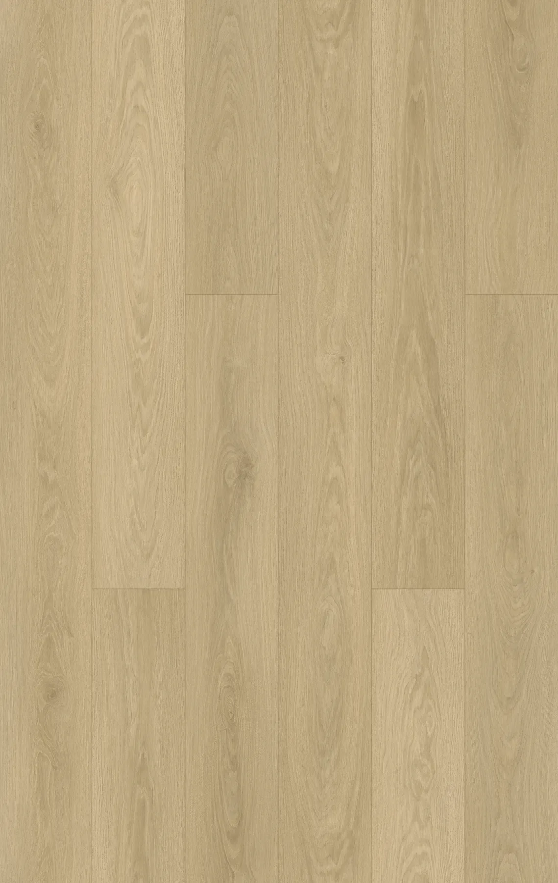 Dover Oak planks laid out
