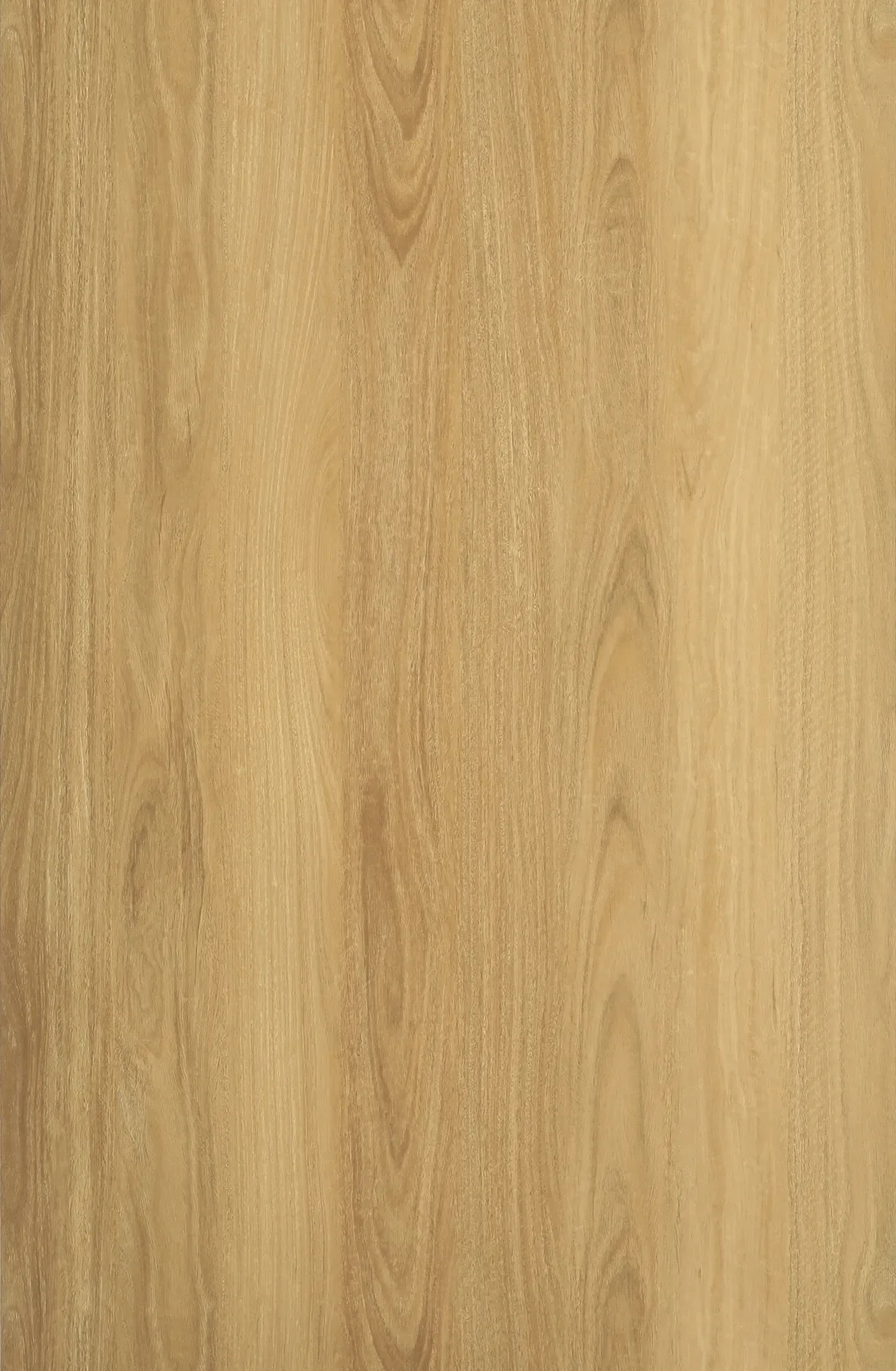 Light Blackbutt plank