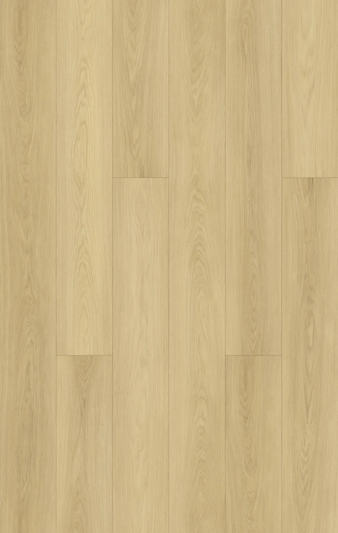 Pearl Oak planks laid out