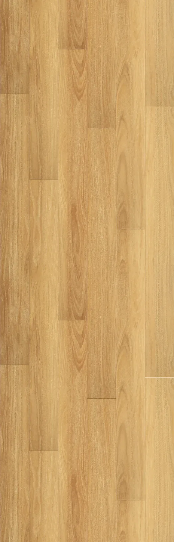 Warm Blackbutt planks laid out