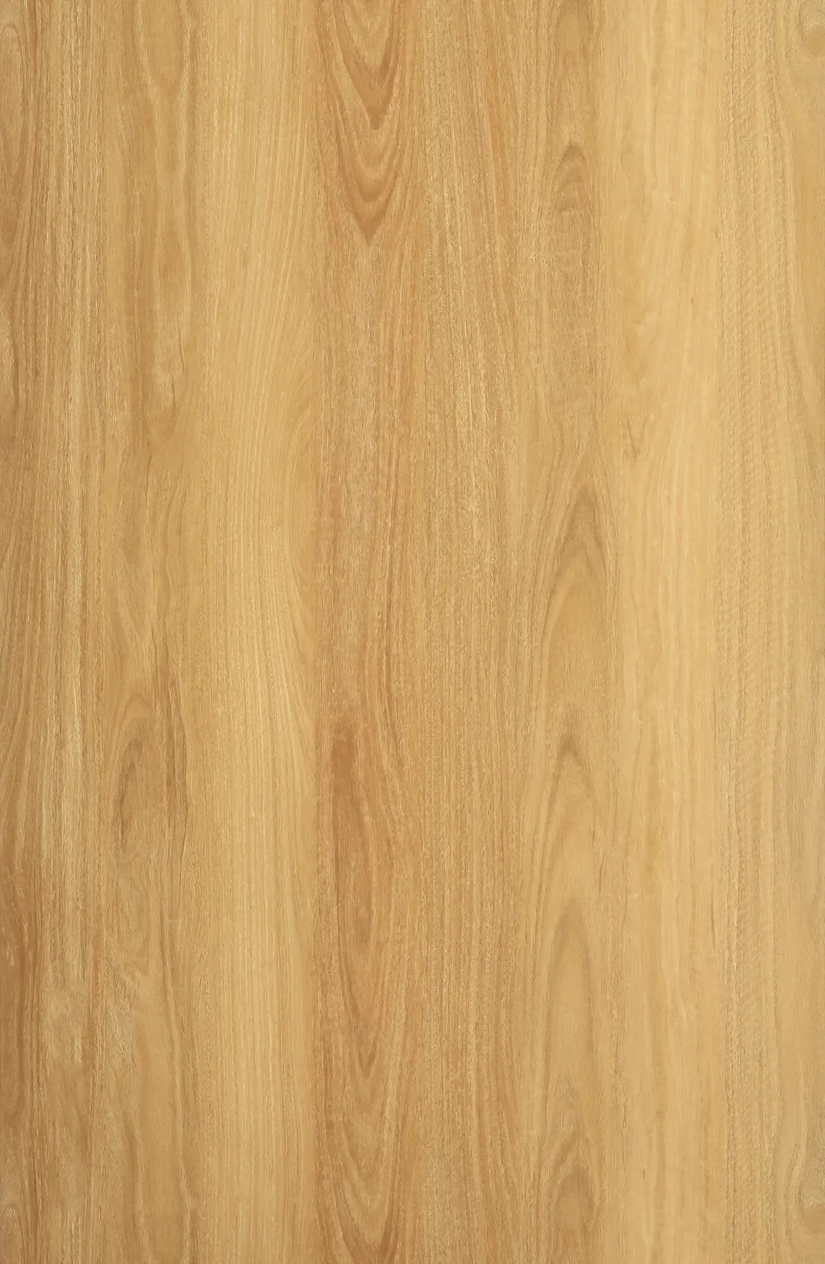 Warm Blackbutt plank
