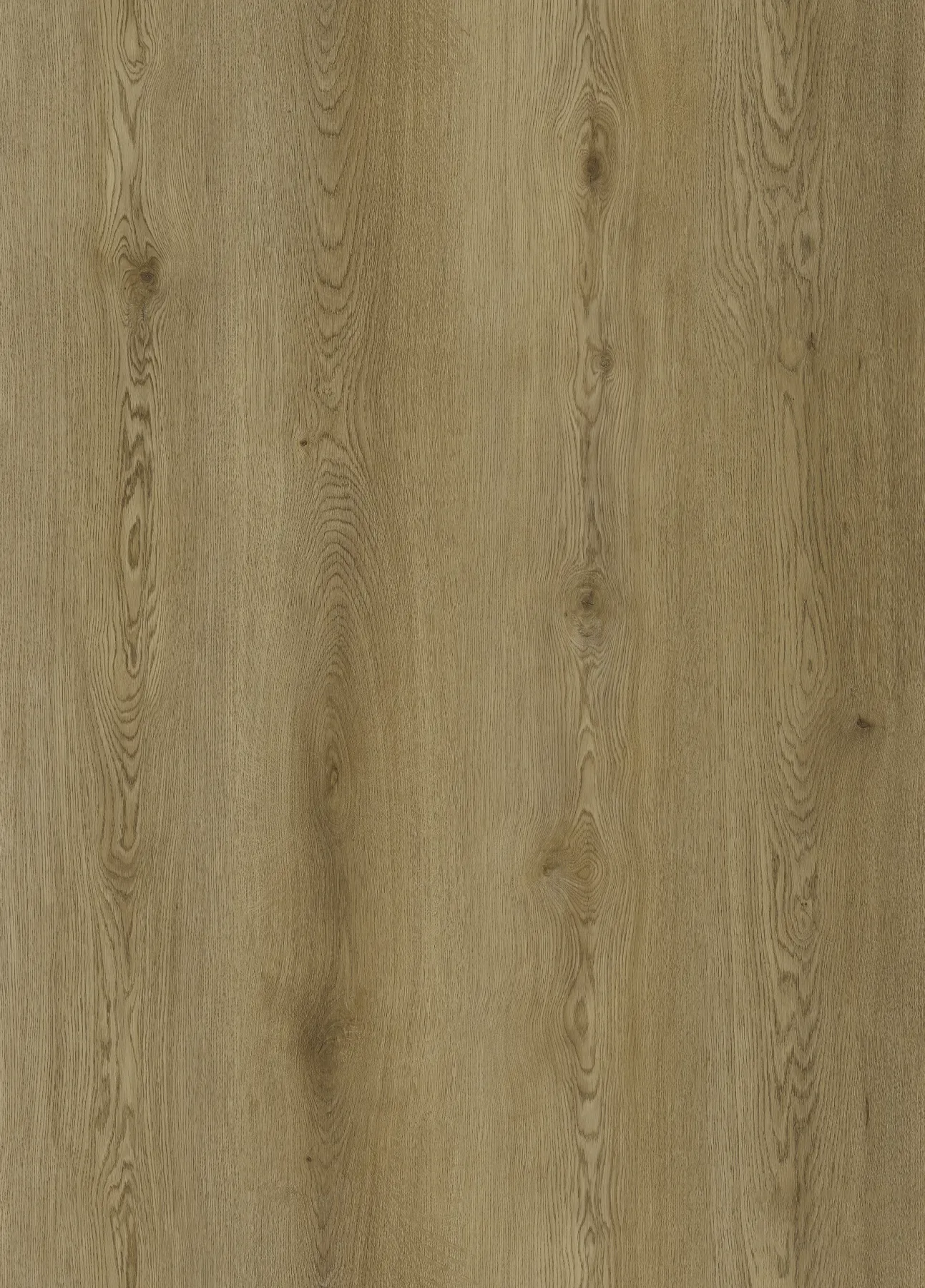 Ashen Oak plank