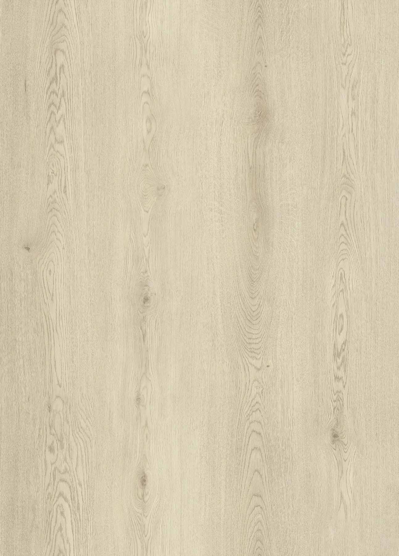Biscuit Oak plank