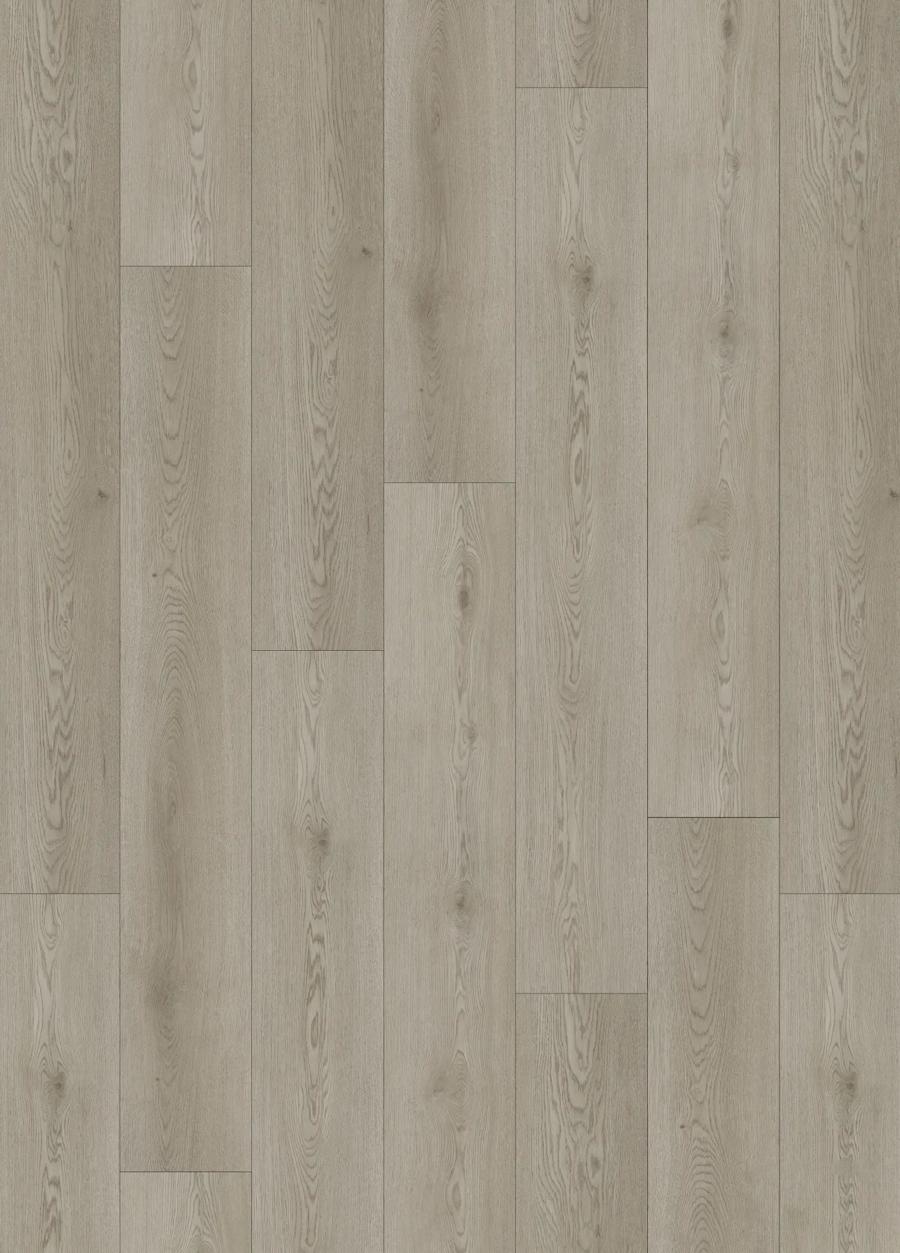 Glacier Oak planks laid out