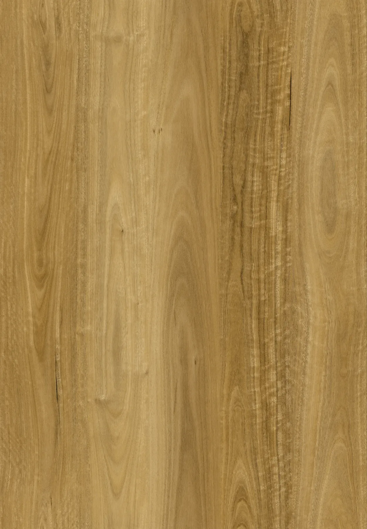 Saddle Blackbutt plank