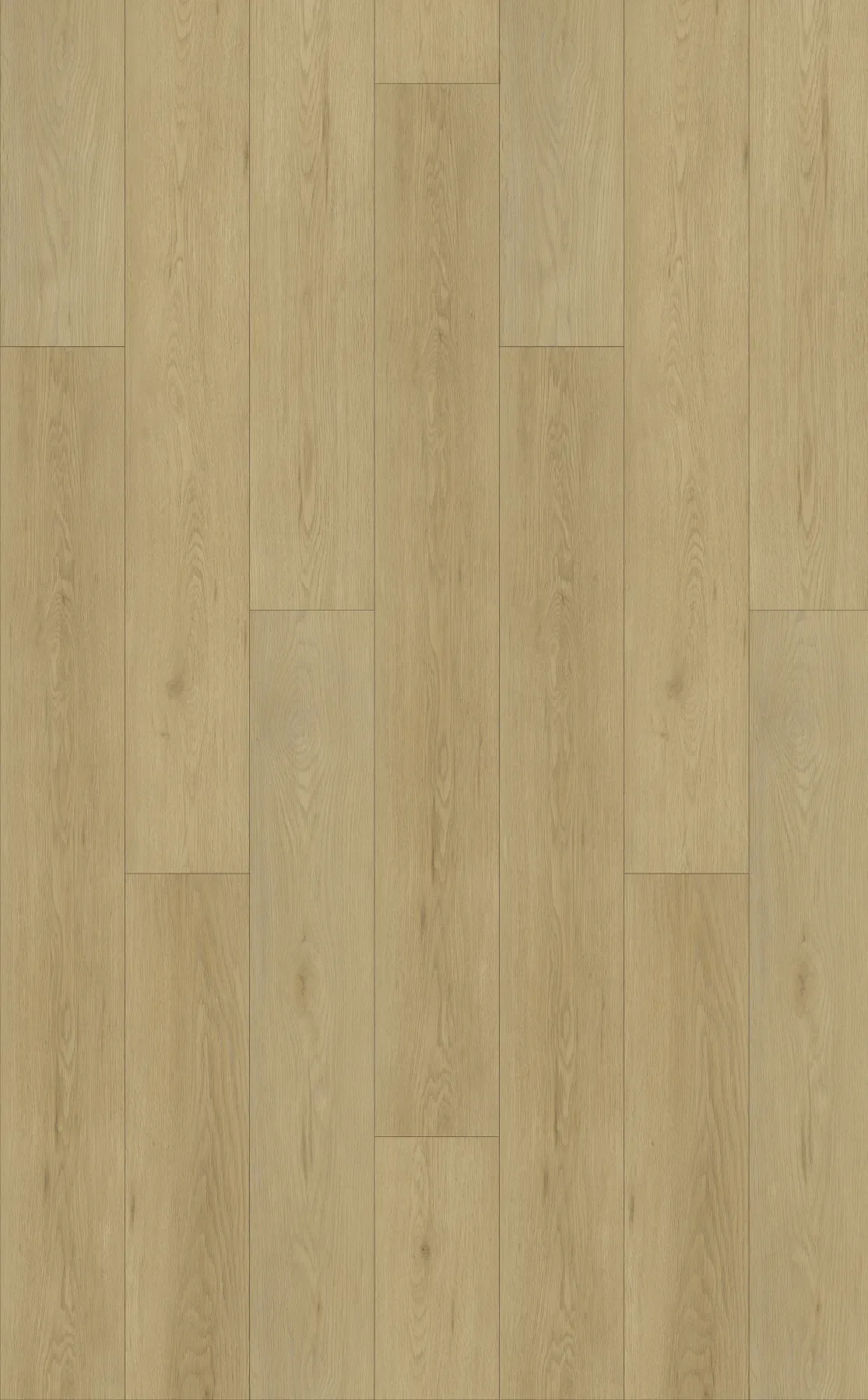 Almond Oak plank