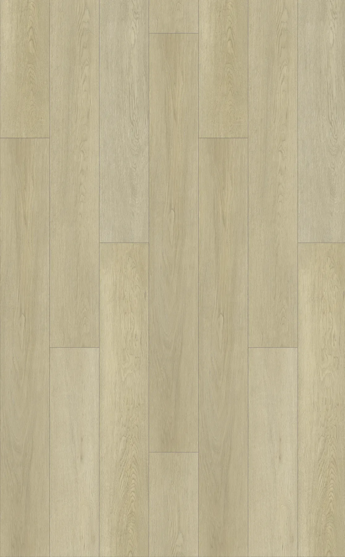 Cloud Oak planks laid out
