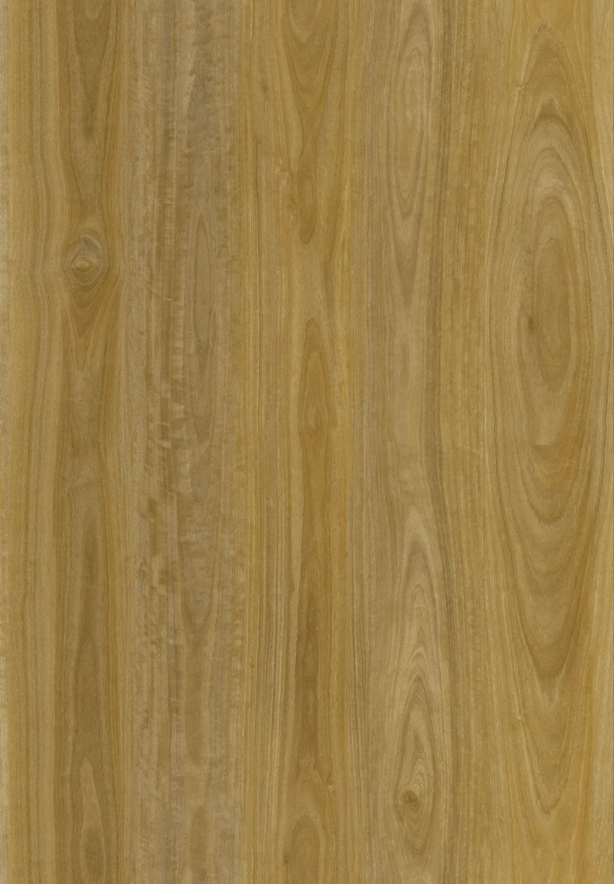 Pure Blackbutt plank