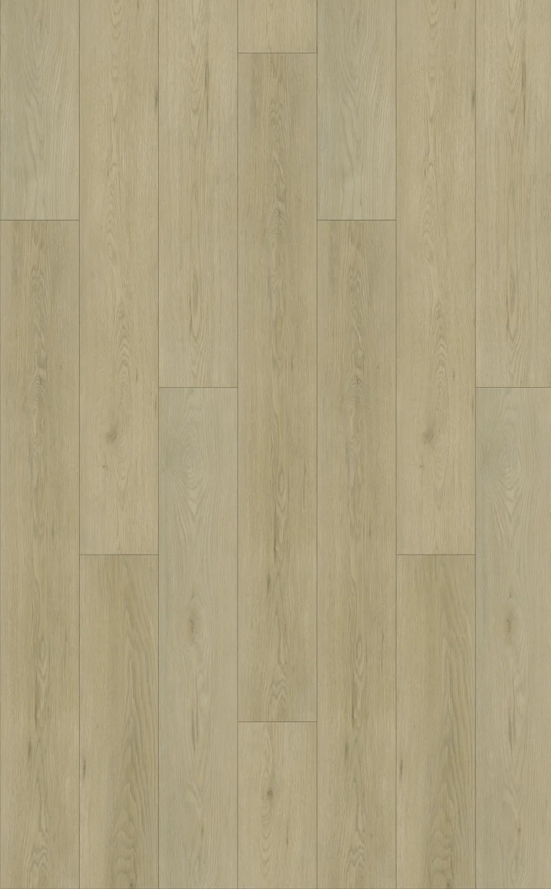 Sand Oak planks laid out