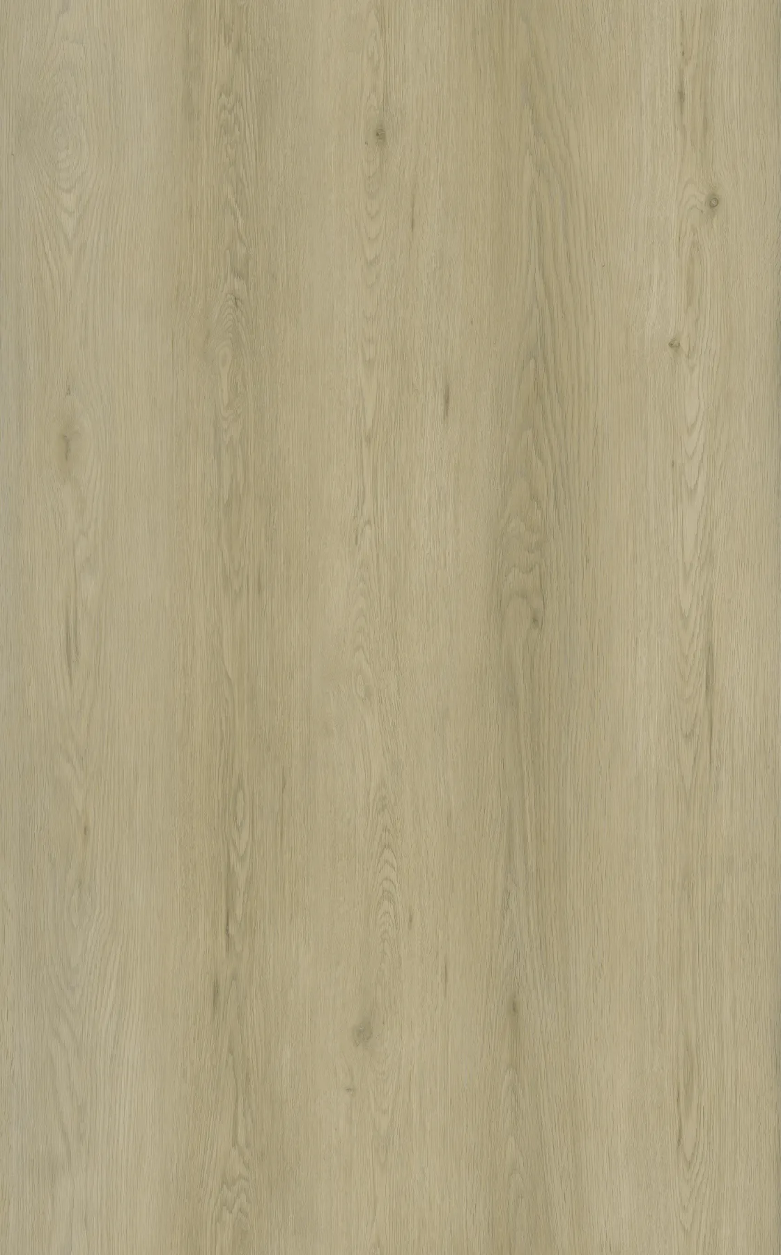 Sand Oak plank